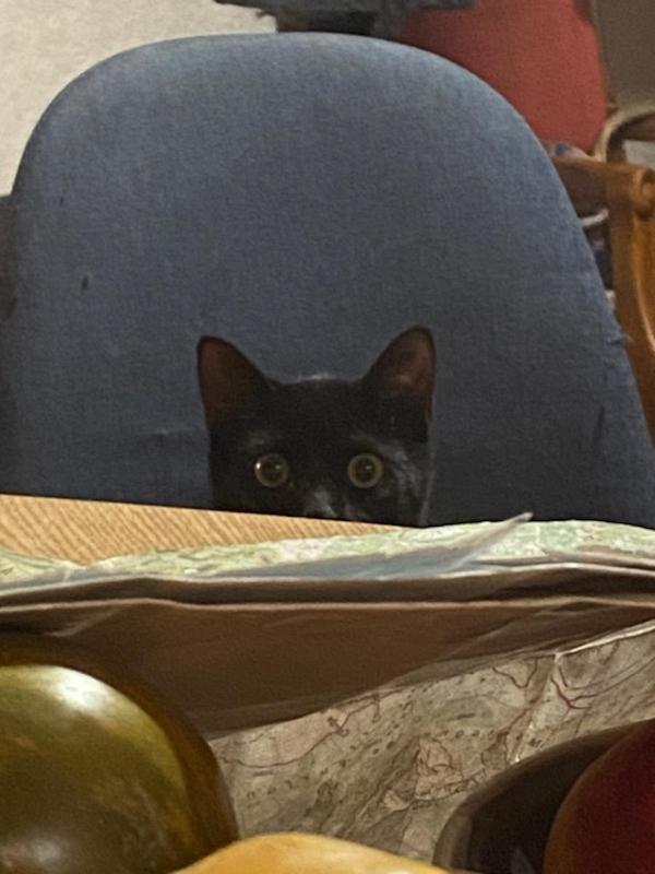 Chez Cat Et Christophe , Chambre Calme Et Lumineuse Chez L'Habitant Avec Vue Guillestre Εξωτερικό φωτογραφία